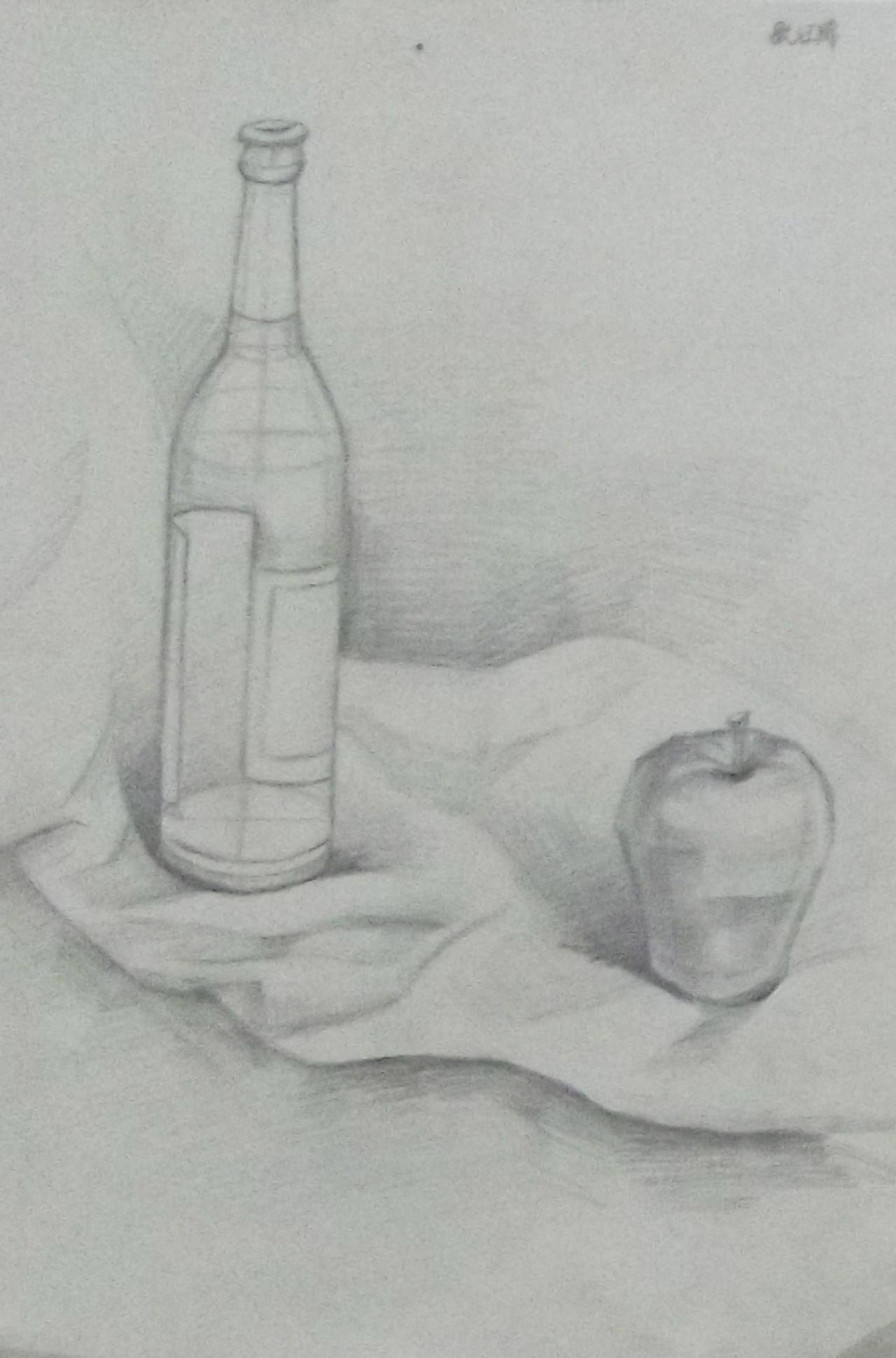 酒瓶和苹果 张江禹画