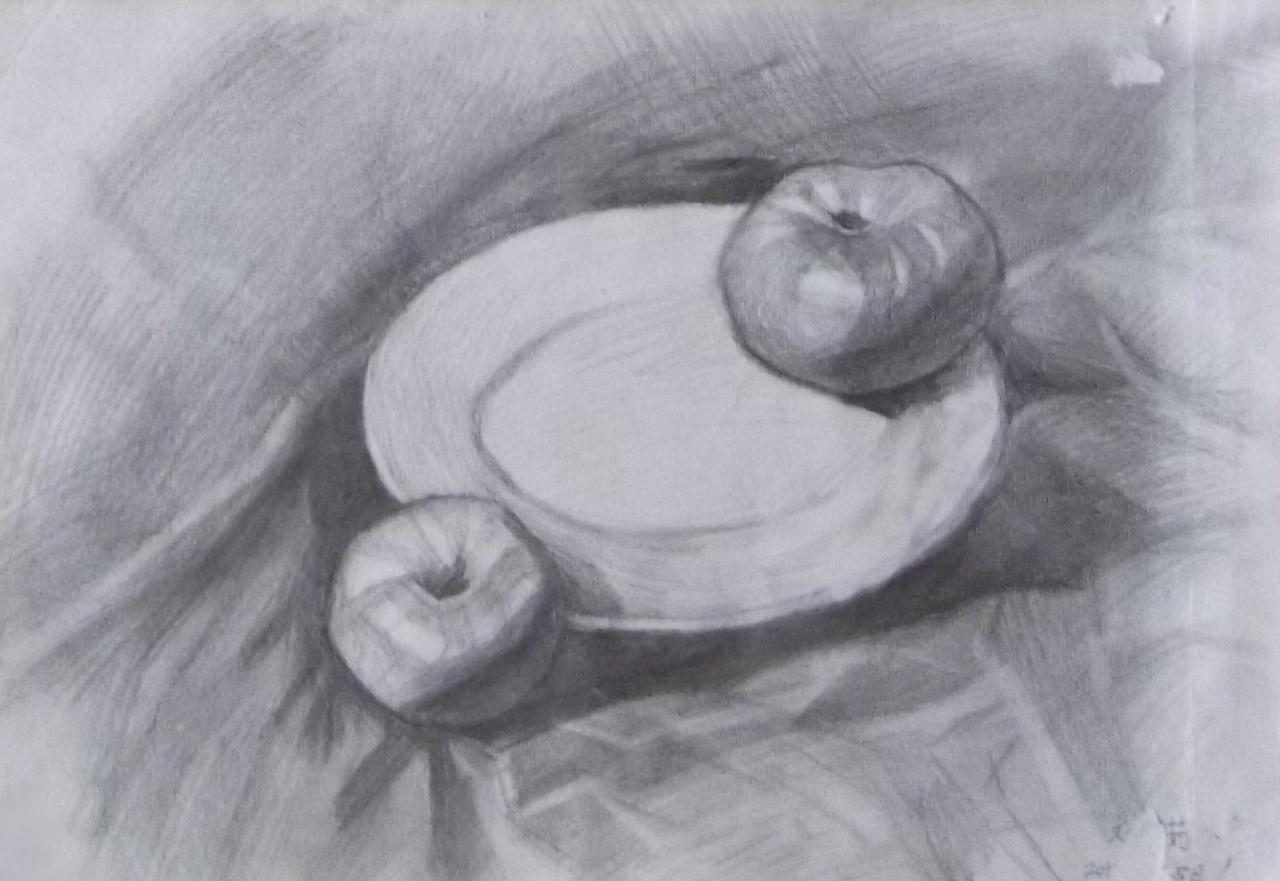 苹果和盘子静物素描 刘洁茹画