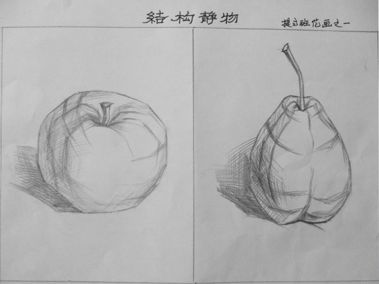 第五步，强化苹果和梨的结构特征