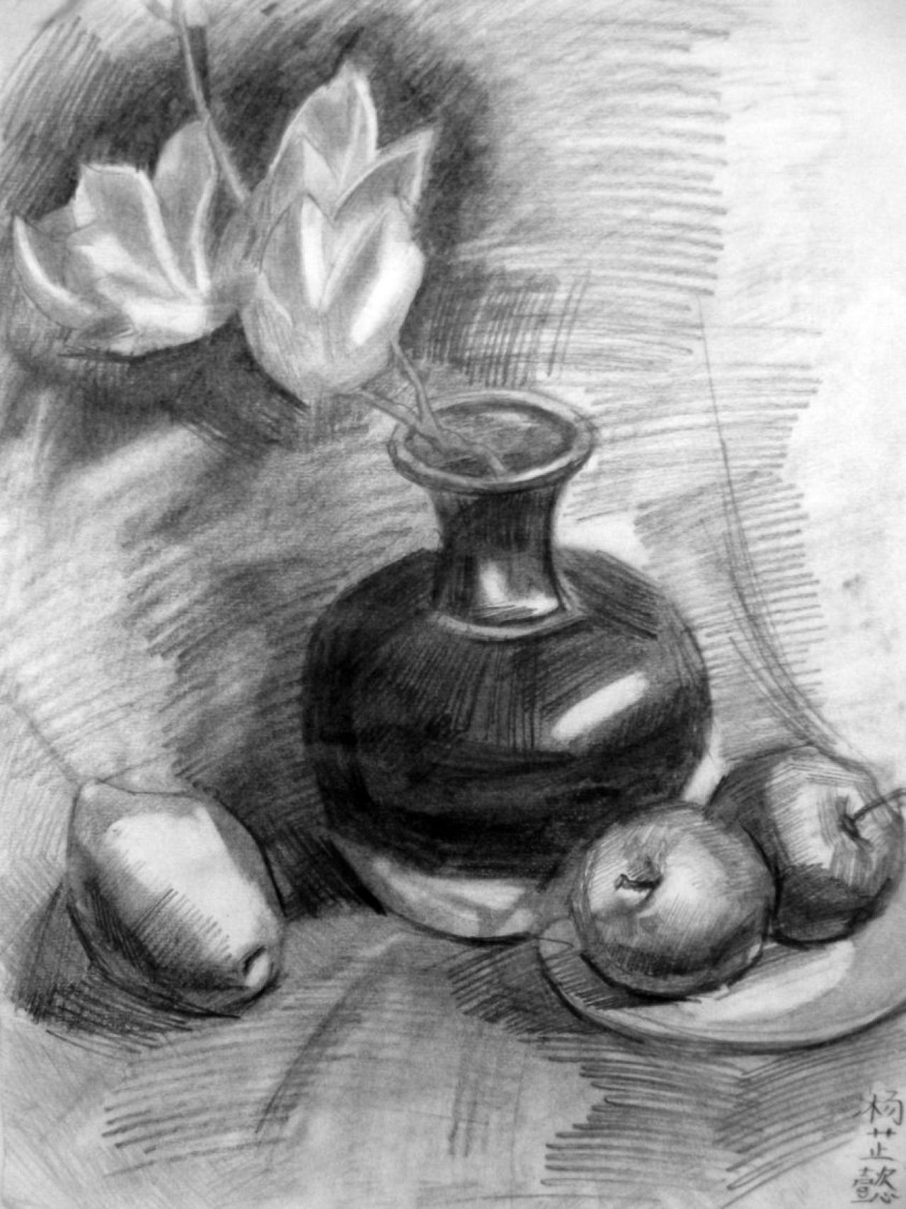 花瓶、苹果、盘子 静物素描 杨芷懿画