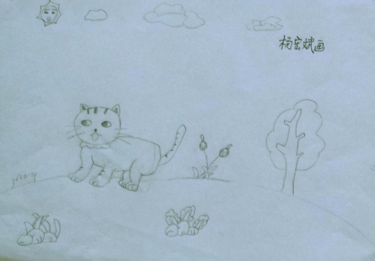小猫 杨宏斌画