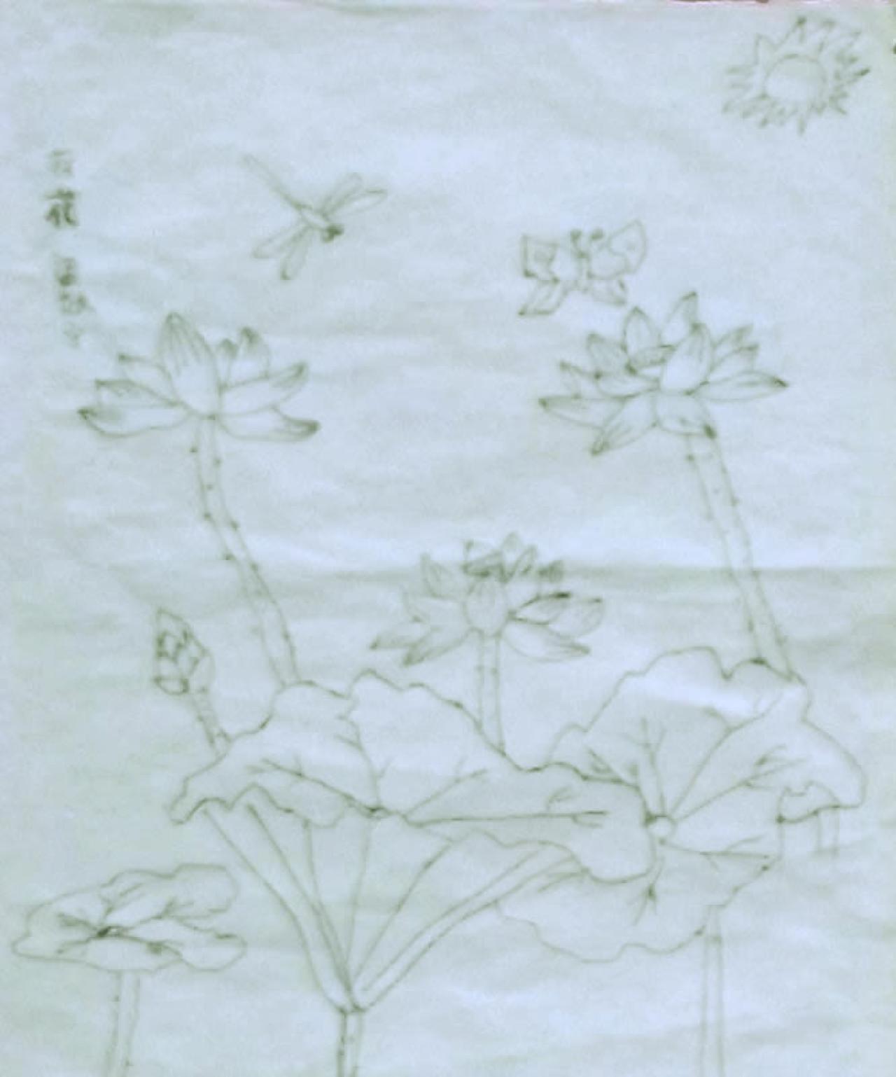 荷花、莲叶和蜻蜓（线稿） 梁效宁画