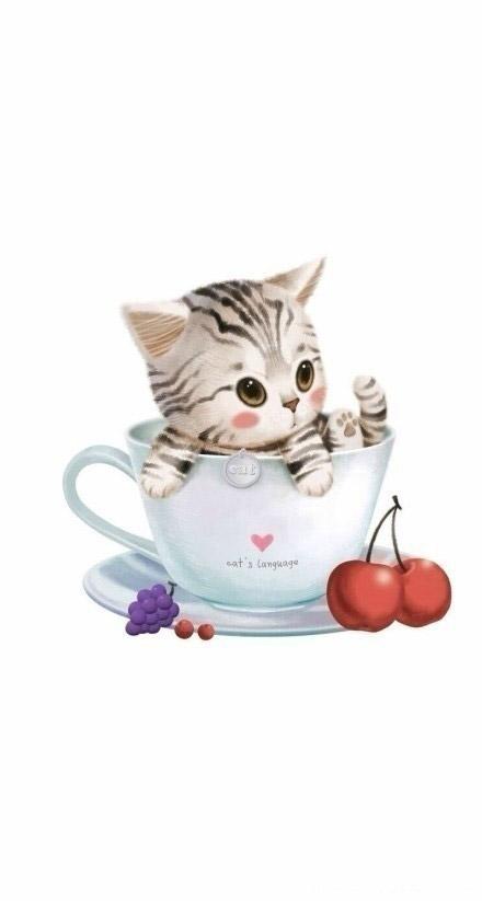 在杯子里的茶杯猫 手机壁纸