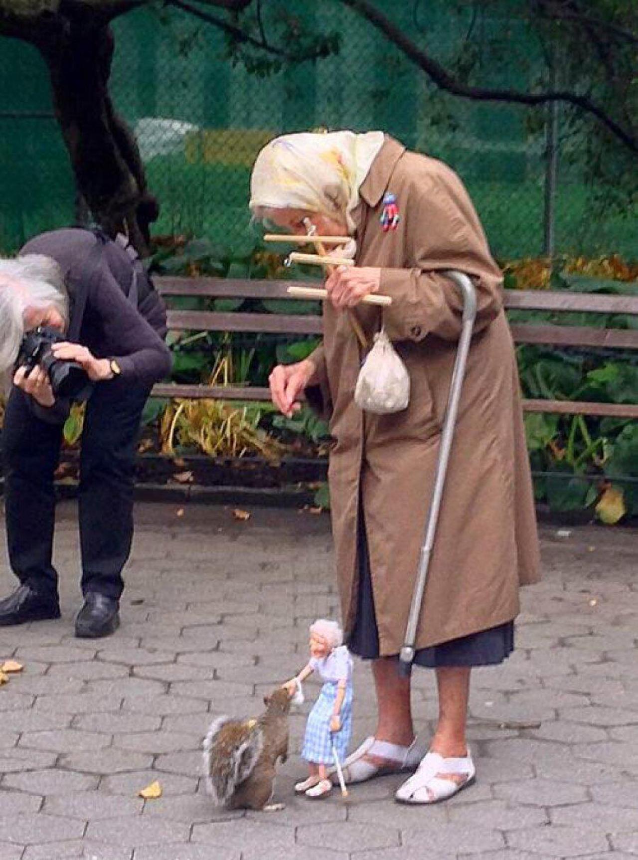 老奶奶正操作提线人偶给松鼠喂食的温暖瞬间