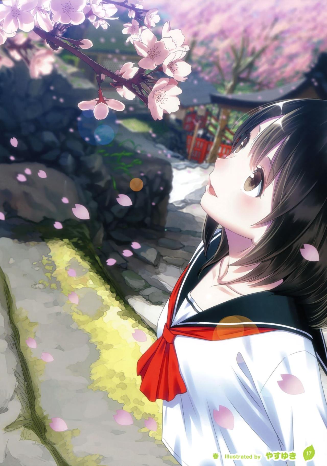 穿着水手服欣赏樱花的萌少女 原题“春” 画师见图