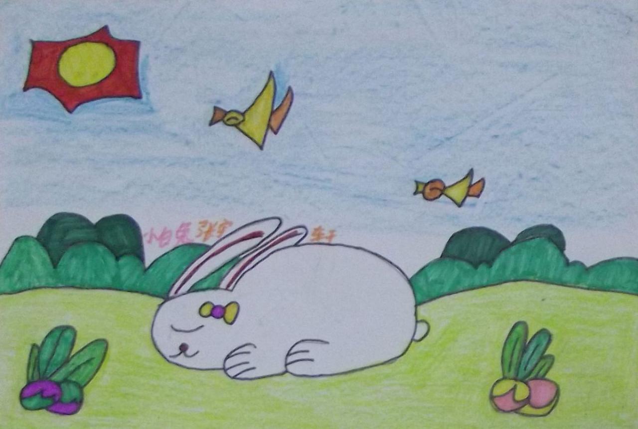 睡着的小白兔 张宇轩画