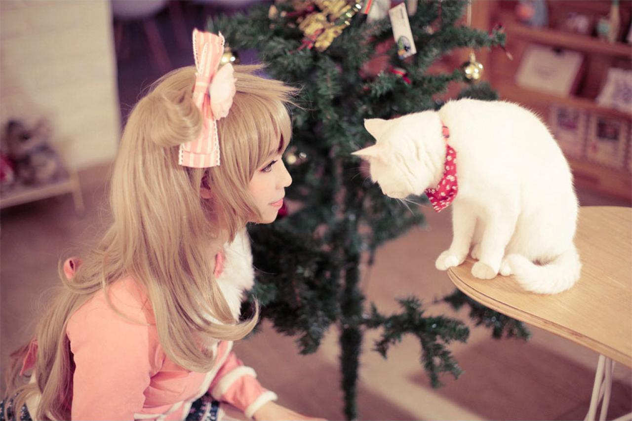 圣诞树下，赤澤Aki扮南小鸟看着猫咪