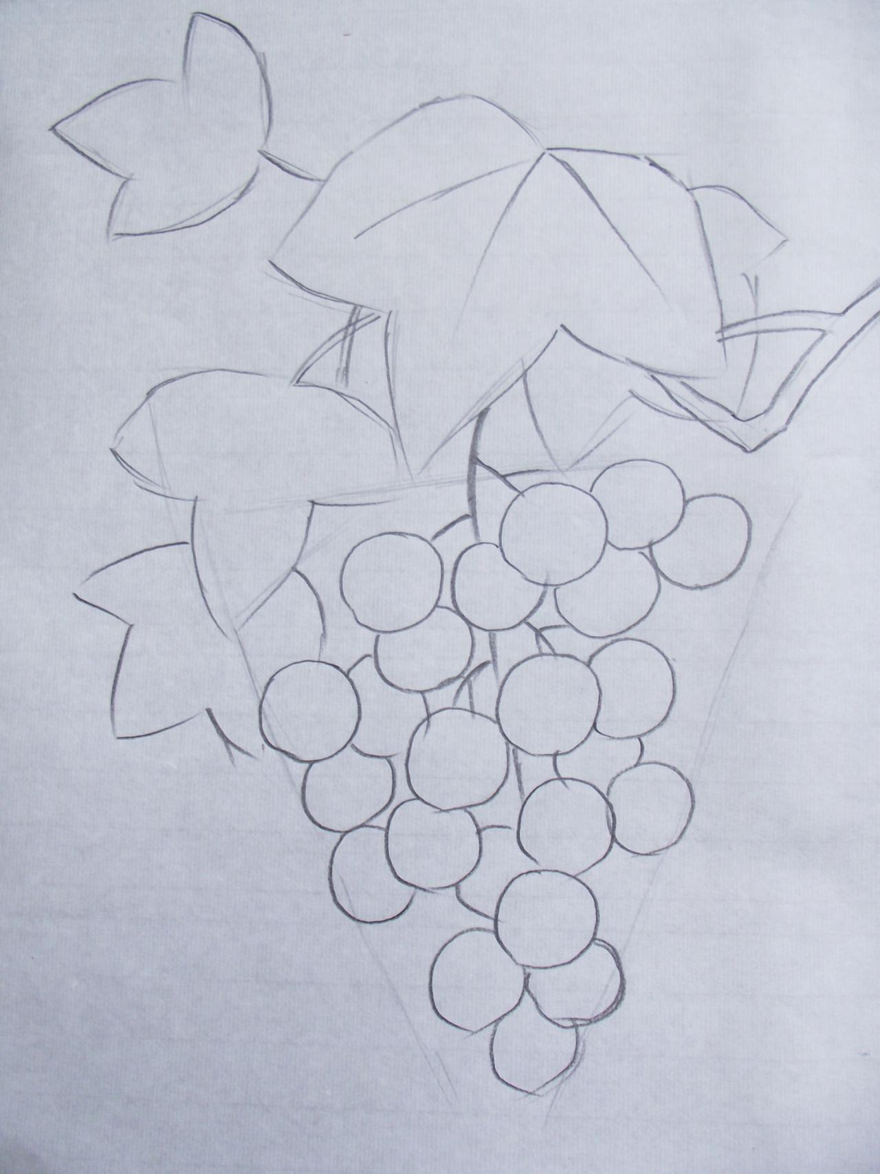 第二步，勾出叶子的外轮廓及葡萄的结构