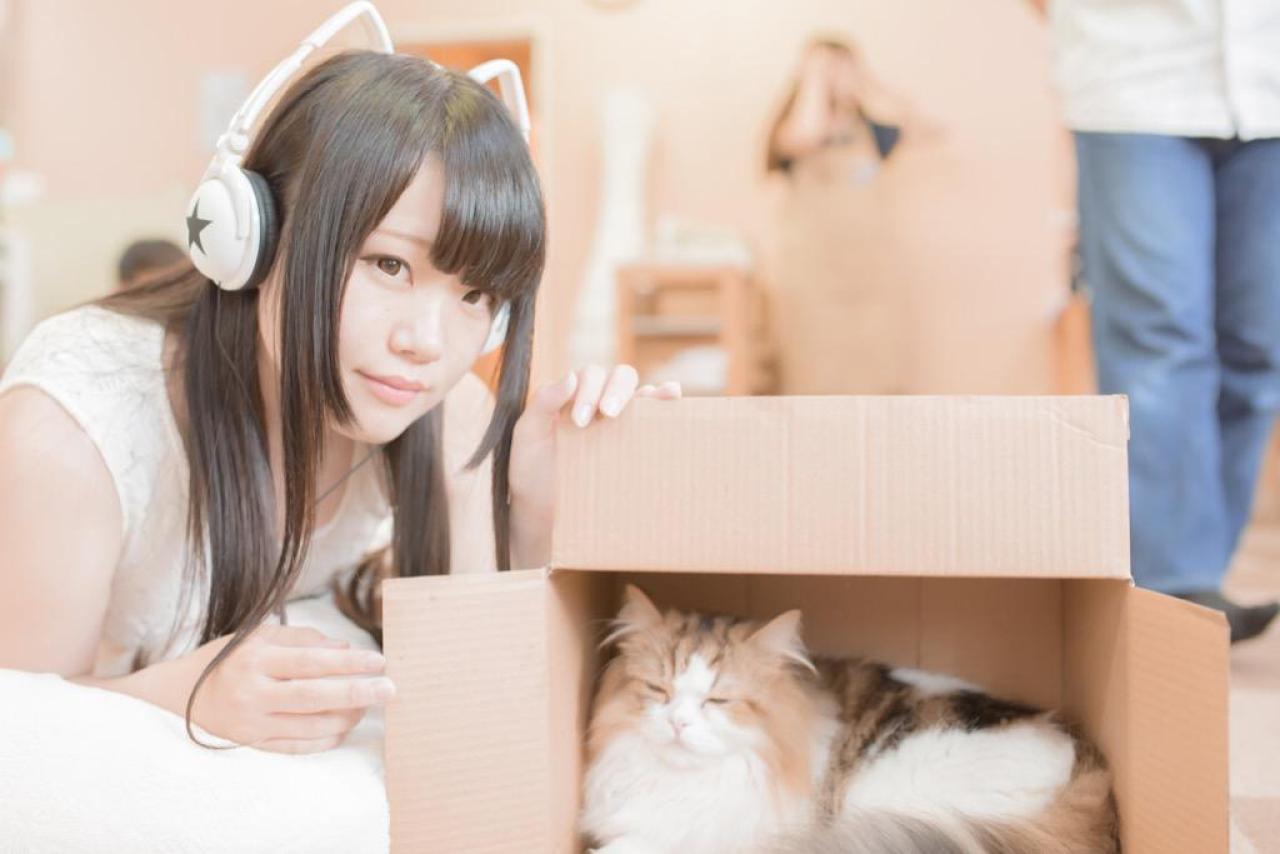 東雲りん戴着猫耳耳机，打开纸盒里猫咪的家门