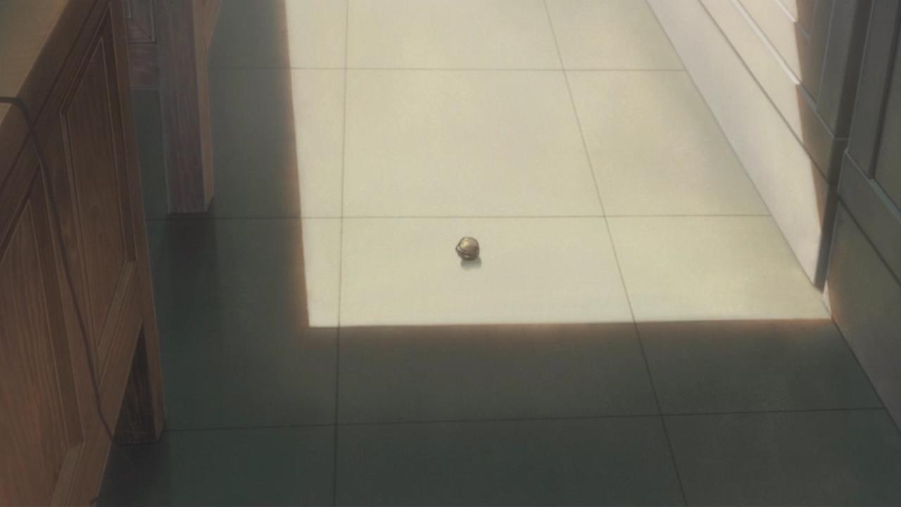 掉到地板上的小球