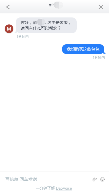 Shopxo客服专业版在移动端的网页聊天界面