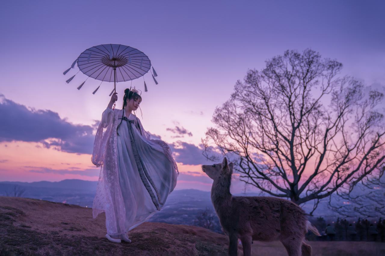 撑着雨伞穿着紫色汉服的少女与鹿对视 全身像 背景是山、晚霞和树干